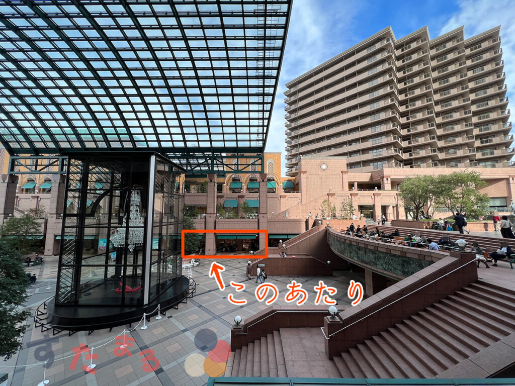 恵比寿ガーデンプレイスのセンター広場とteavanaの写真