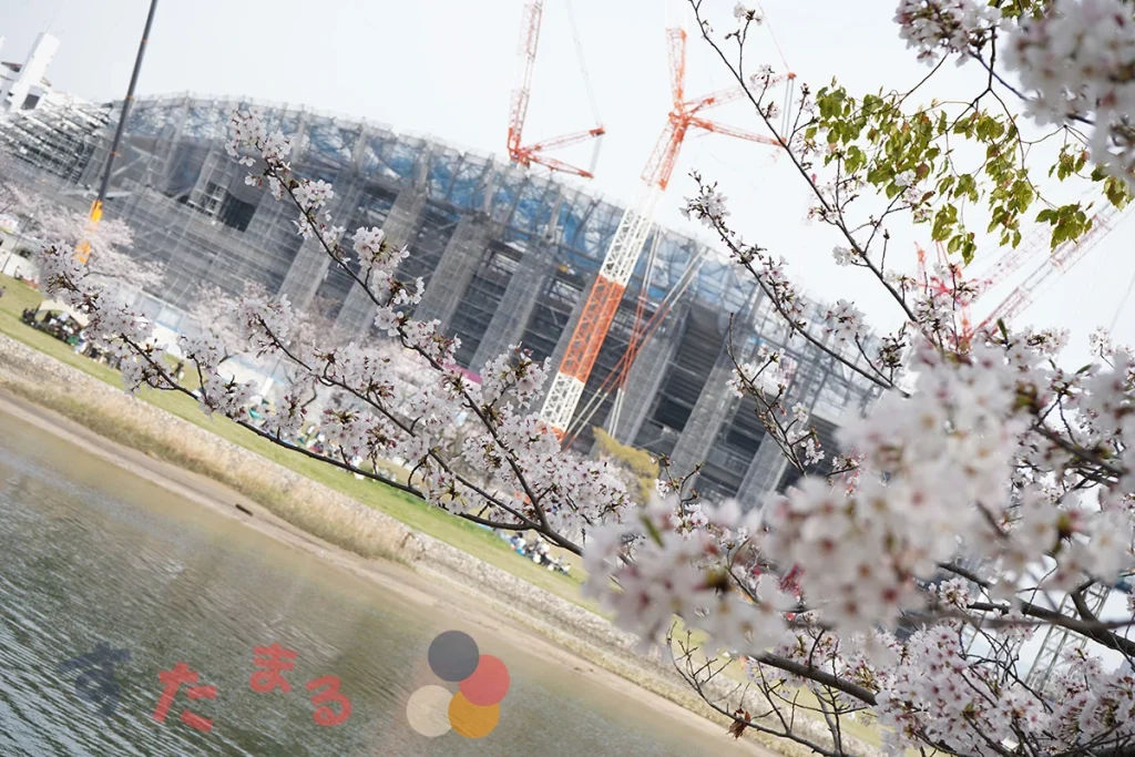 桜の間から見える建設中のサッカースタジアム